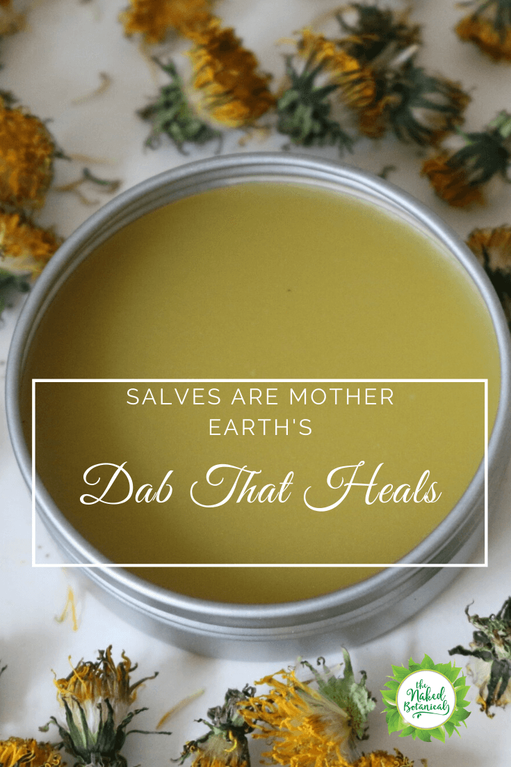 Salves are Mother Nature’s Dab that Heals